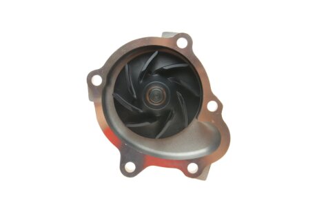 Комплект ременя ГРМ з помпою води ina 530033830