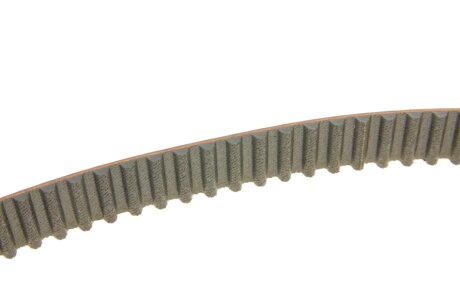 Роликовий модуль натягувача ременя (ролик, ремінь) ina 530037910