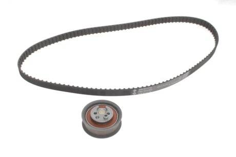 Комплект ГРМ (ремінь + ролик) ina 530039210