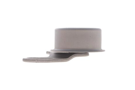 Роликовий модуль натягувача ременя (ролик, ремінь, помпа) ina 530042731