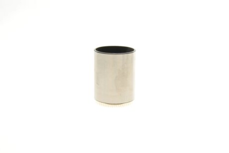 Роликовий модуль натягувача ременя (ролик, ремінь) ina 530050910