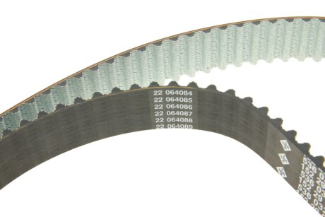 Роликовий модуль натягувача ременя (ролик, ремінь) ina 530050910