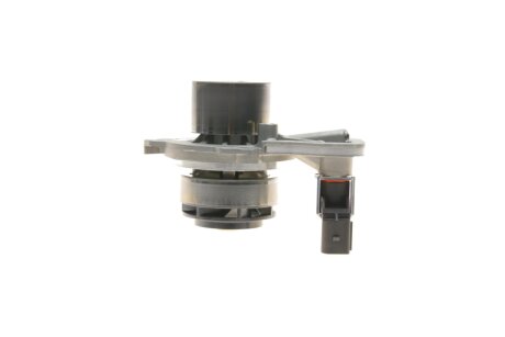 Комплект ременя ГРМ з помпою води ina 530066530