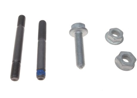 Роликовий модуль натягувача ременя (ролик, ремінь) ina 530069910