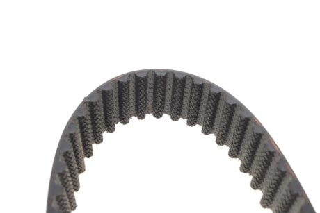 Роликовий модуль натягувача ременя (ролик, ремінь) ina 530076510