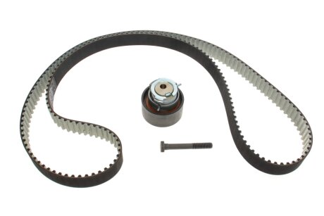 Комплект ременя ГРМ ina 530085010