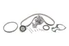 Водяний насос + зубчастий ремінь Ina 530095830 (фото 1)