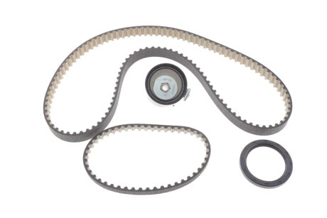 Комплект зубчастих ременів ina 530095910