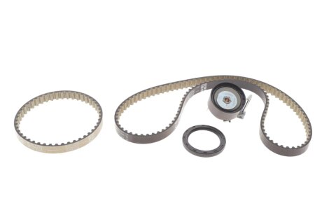 Комплект зубчастих ременів ina 530096010