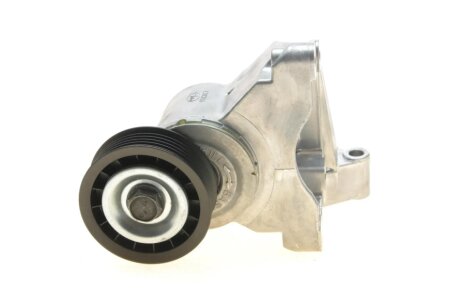 Натяжитель ремня ina 534003210