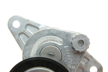 Натяжитель поликлинового ремня ina 534033910