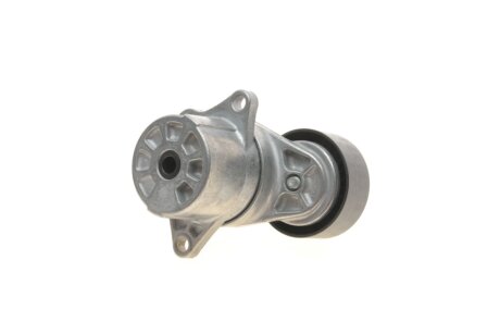 Натяжитель ремня ina 534044410