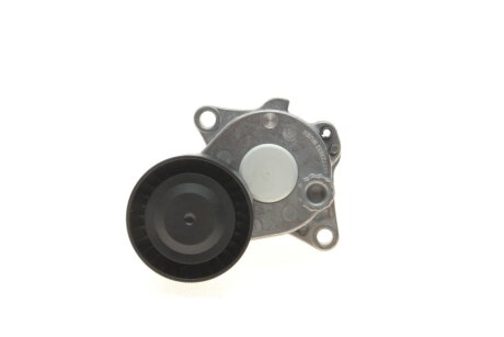 Натяжитель ремня ina 534044410