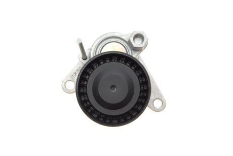 Натяжитель поликлинового ремня ina 534055210