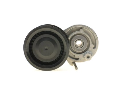 Натяжитель ремня ina 534060310