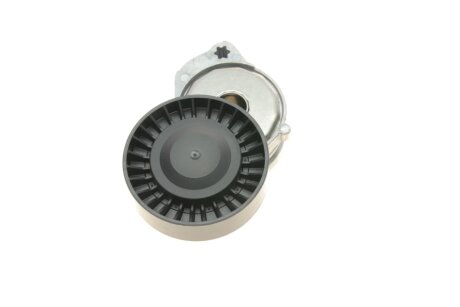 Роликовий модуль натягувача ременя ina 534060410