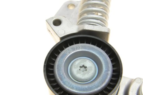 Натяжник ременя генератора ina 534070210