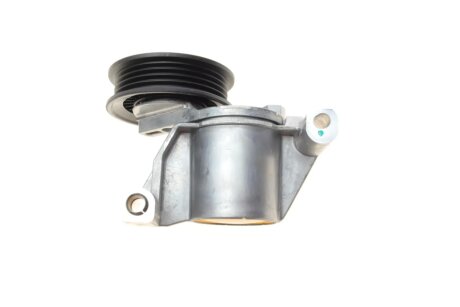 Натяжитель ремня ina 534070510