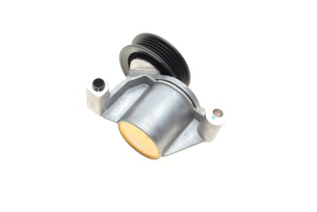 Натяжитель ремня ina 534070510