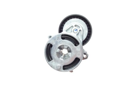 Натяжник ременя генератора ina 534071110