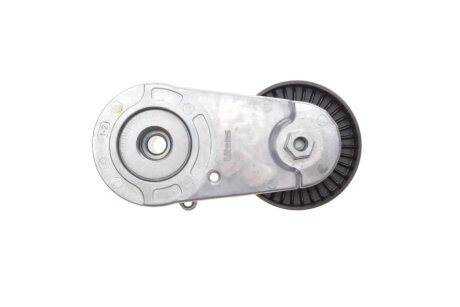 Натяжитель ремня ina 534072710