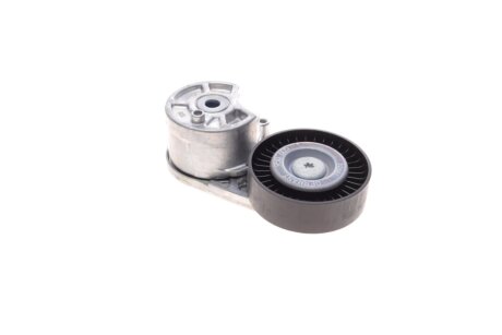 Натяжитель ремня ina 534072710