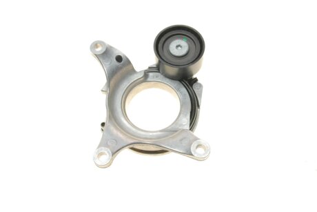 Натяжник ременя генератора ina 534079410