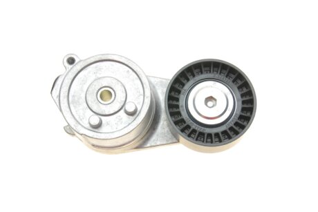 Натяжник ременя генератора ina 534082810