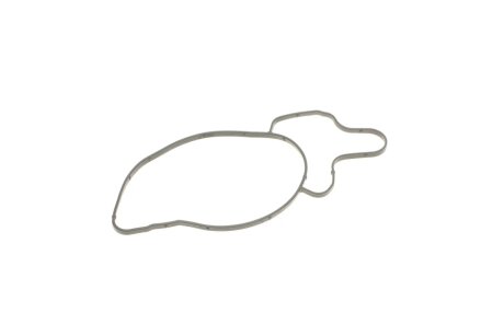 Водяной насос ina 538020810