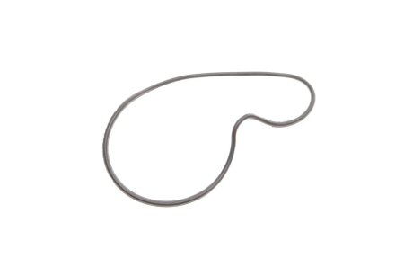 Помпа воды ina 538074810