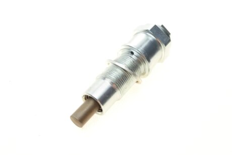 Натягувач ланцюга ГРМ ina 551012010