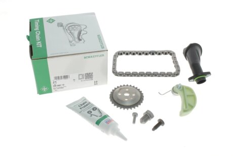 Комплект ланцюга ГРМ ina 558006710