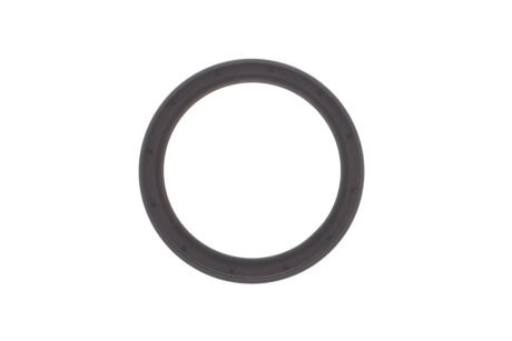 Комплект ланцюга ГРМ ina 559010440