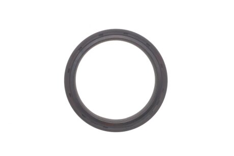 Комплект ланцюга ГРМ ina 559010440