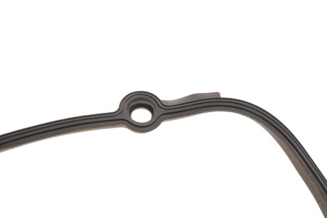 Комплект ланцюга ГРМ ina 559019640