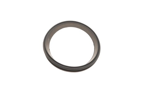 Комплект ланцюга ГРМ ina 559019640