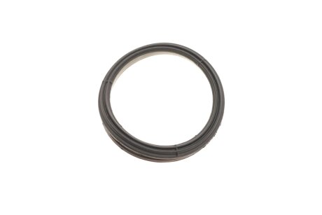 Комплект ланцюга ГРМ ina 559019640