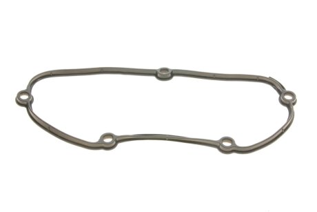 Комплект ланцюга ГРМ ina 559019641