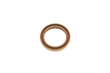 Комплект ланцюга ГРМ ina 559100530