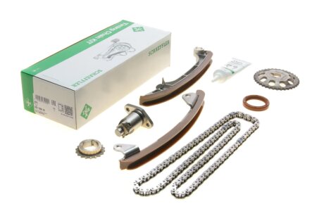 Комплект ланцюга ГРМ ina 559100530