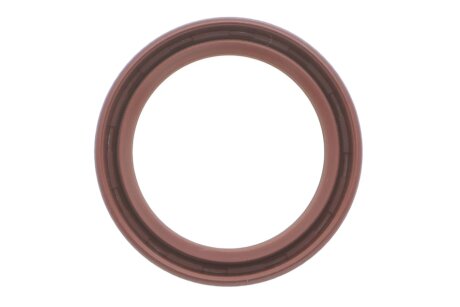 Комплект ланцюгів привода ina 559100540