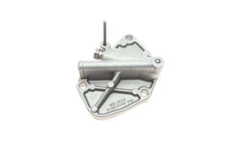 Комплект ланцюга ГРМ ina 559100610