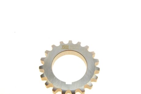 Комплект ланцюга ГРМ ina 559100640