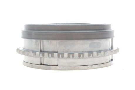 Комплект ланцюгів привода ina 559100740