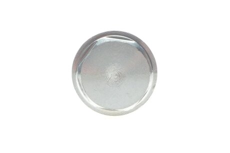 Комплект ланцюгів привода ina 559100740