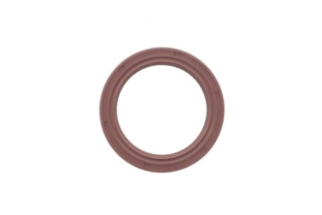 Комплект ланцюгів привода ina 559103140