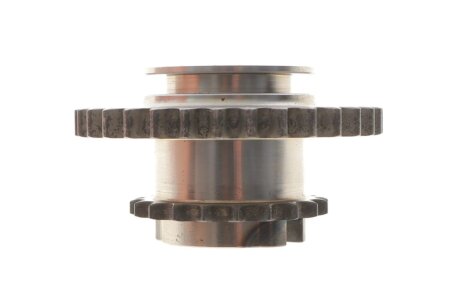 Комплект ланцюг натягувач ina 559179640