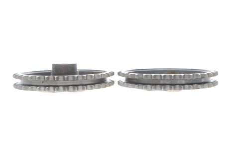 Комплект ланцюга ГРМ ina 559179830