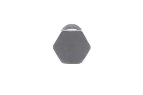 Комплект ланцюг натягувач ina 559180740