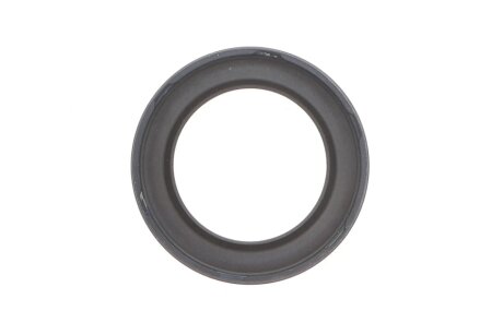 Комплект ланцюг натягувач ina 559180740